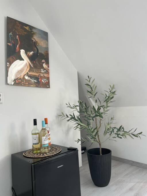 Appartement In Centrum Alkmaar Extérieur photo